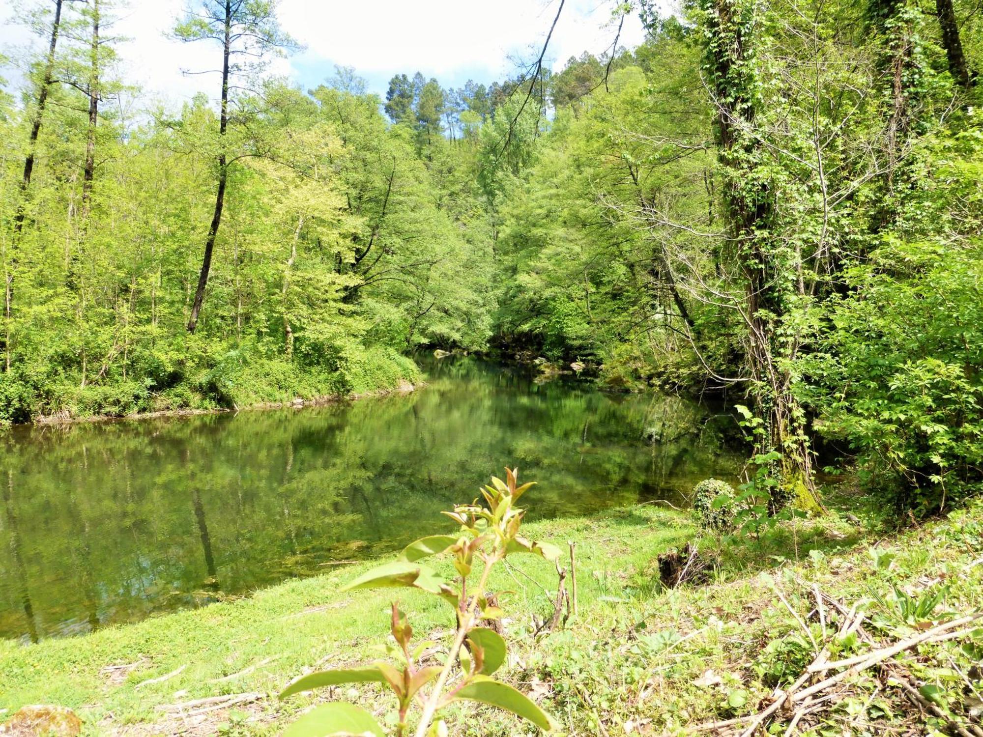 Chateau Du Fraissinet, 6 Gites Sleeping 2-8 Guests, Pool And River On Site La Tronche  Buitenkant foto