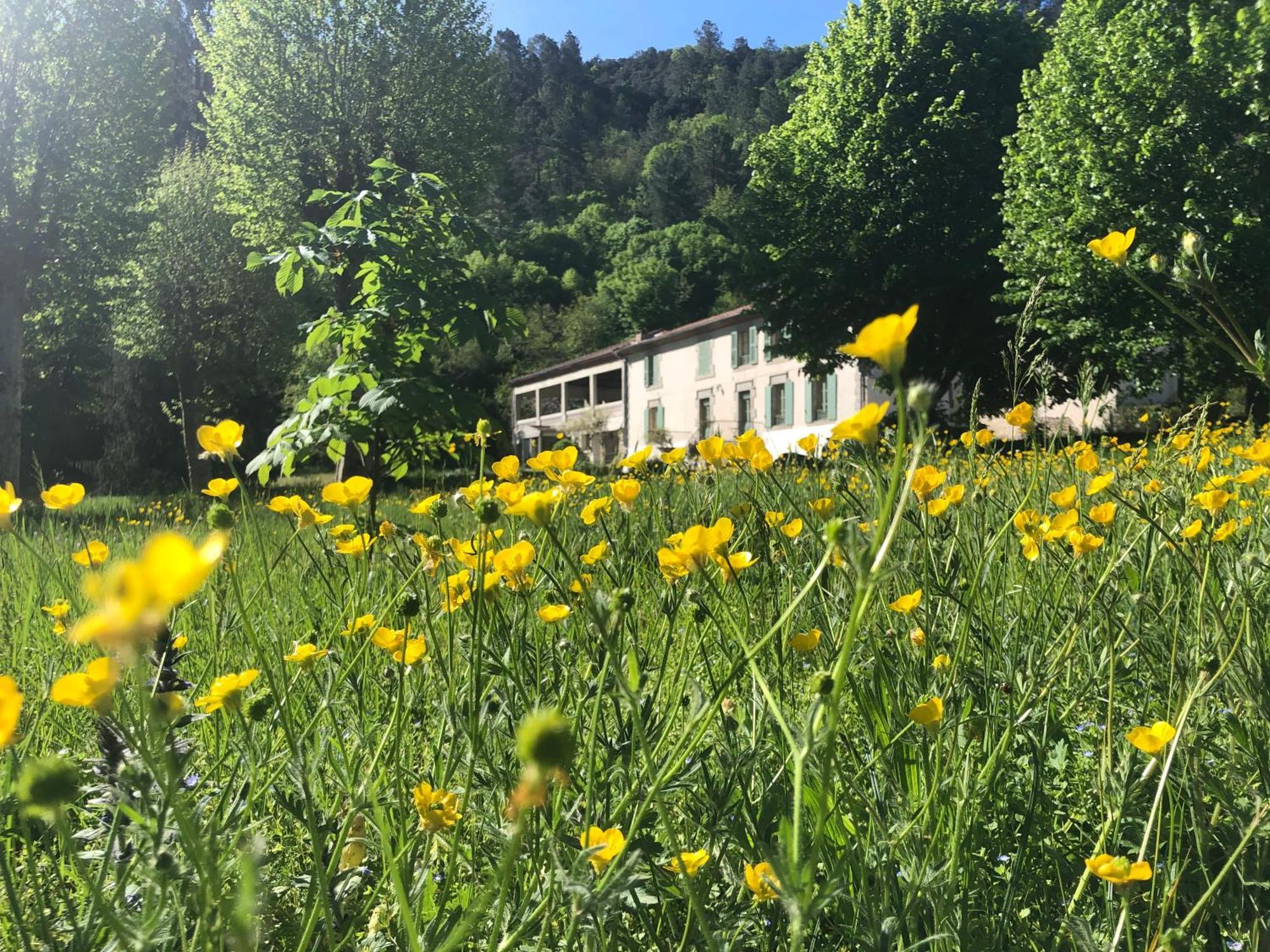 Chateau Du Fraissinet, 6 Gites Sleeping 2-8 Guests, Pool And River On Site La Tronche  Buitenkant foto